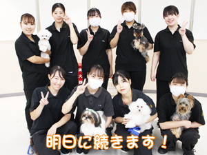 ドッグランでモデル犬とプール♪～1日目～